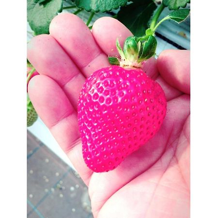 The Paradise Garden Sasebo Exterior photo