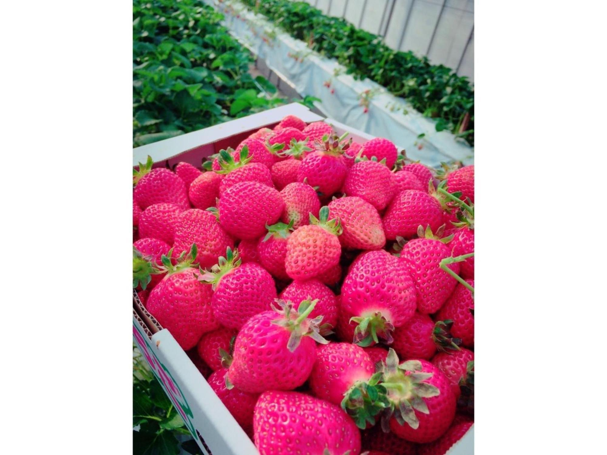 The Paradise Garden Sasebo Exterior photo