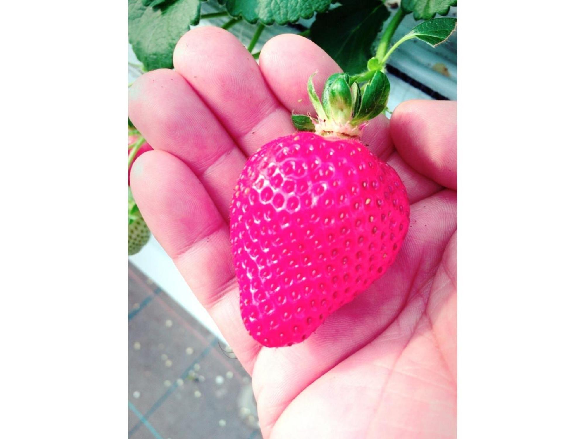 The Paradise Garden Sasebo Exterior photo