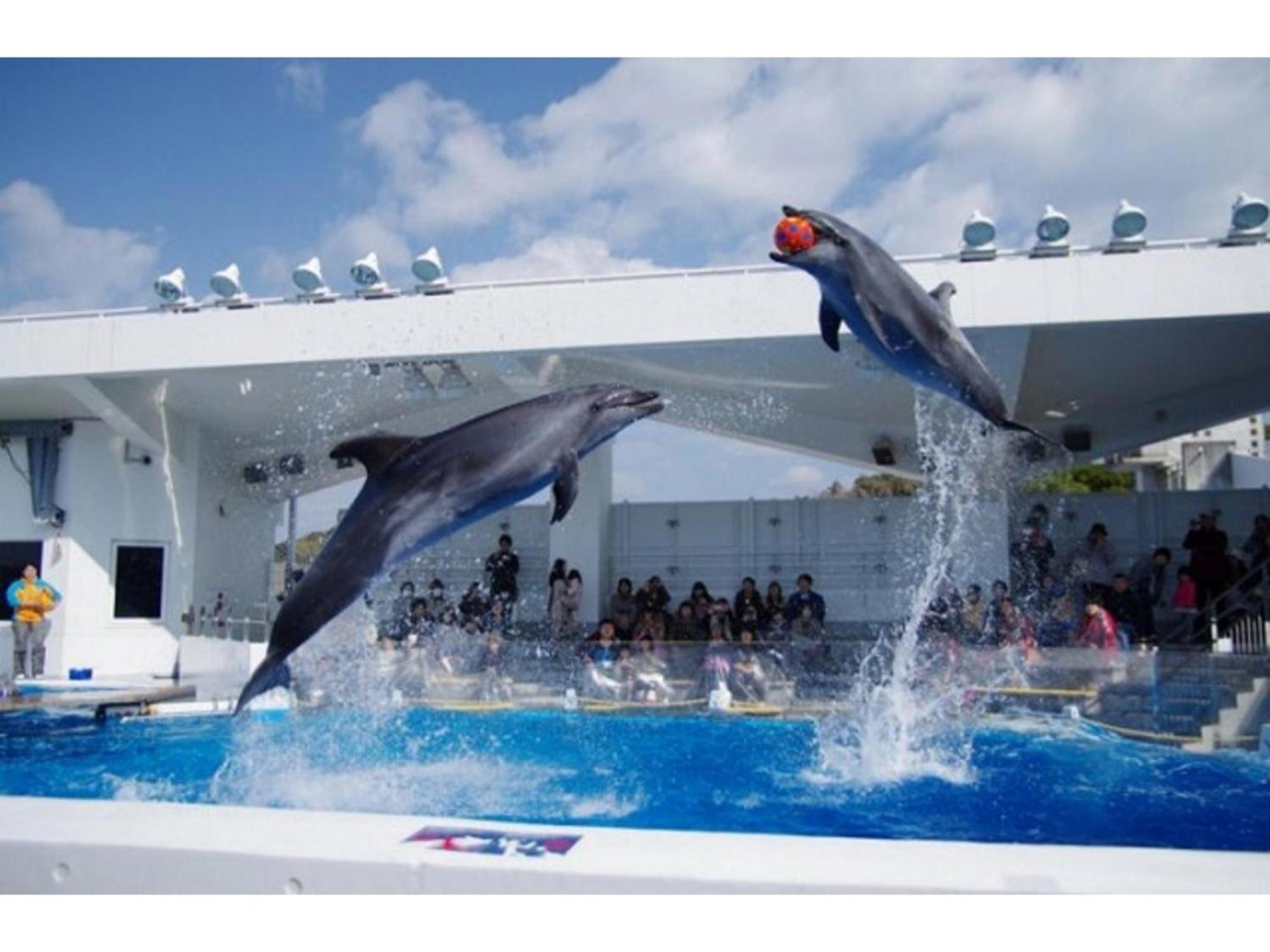 The Paradise Garden Sasebo Exterior photo